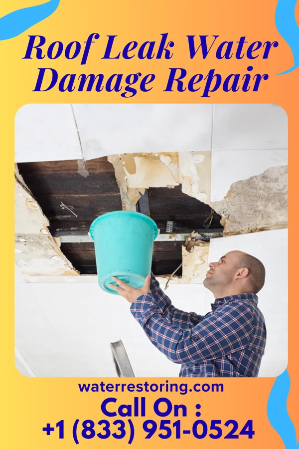 Roof Leak Water Damage Repair in Caney, KS